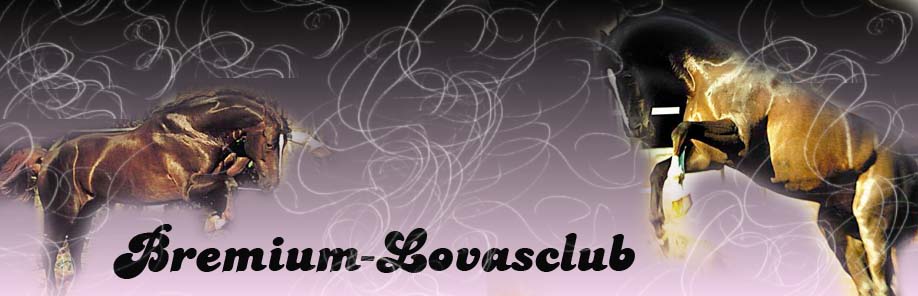 bremium-lovasclub